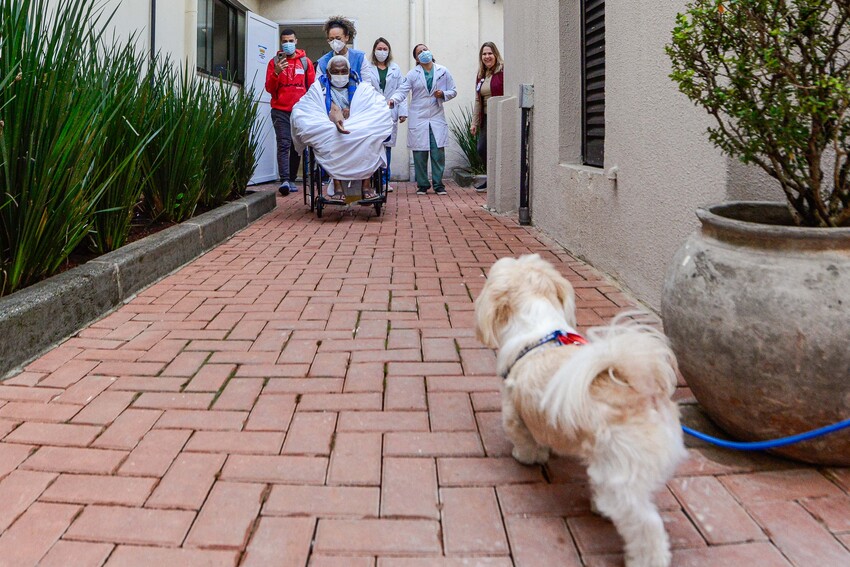 S.Bernardo inova com visita de pet no Hospital Anchieta e emociona paciente