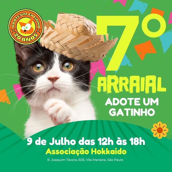 comunicado sobre festa junina para gatos 