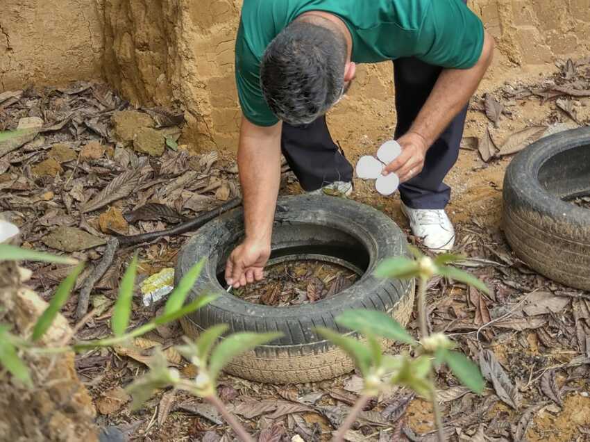 Combate à dengue