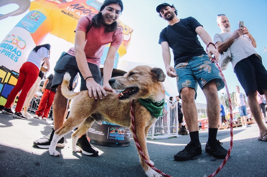 Ribeirão Pires lança selo PAPI em apoio aos protetores independentes da causa animal