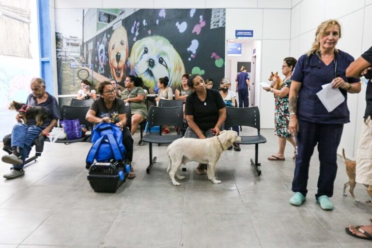 Hospital veterinário de S.Bernardo chega ao 100º atendimento ambulatorial