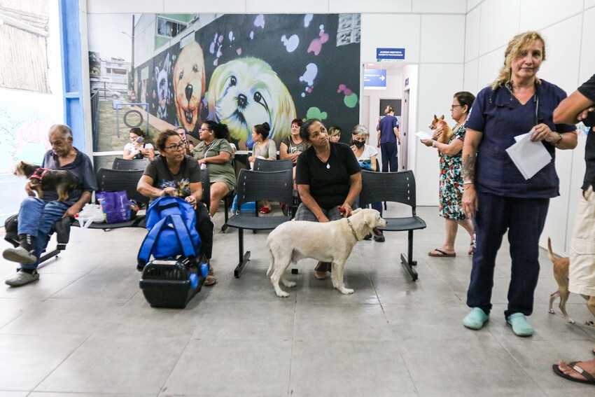 Hospital veterinário de S.Bernardo chega ao 100º atendimento ambulatorial