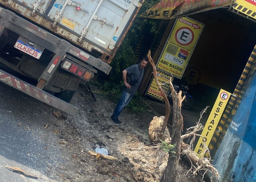 Caminhão arrasta árvore e danifica caçada em São Bernardo