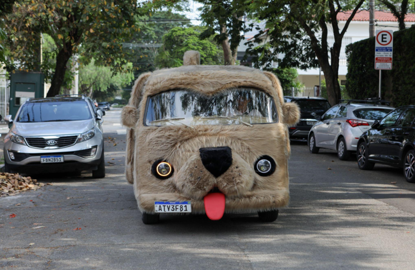 Petcar