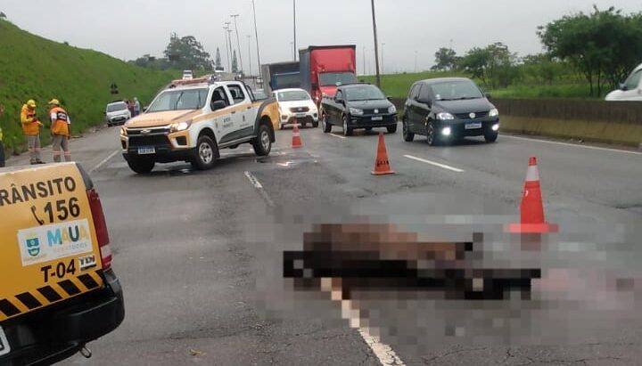 Após atropelamento, cavalo permanece em via de Mauá sem socorro por 2 horas