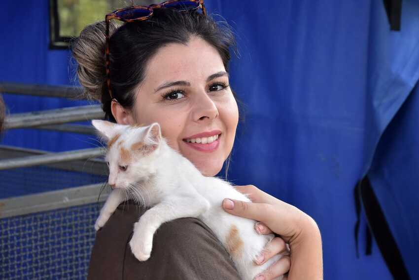 Em Santo André, 500 cães e gatos são adotados