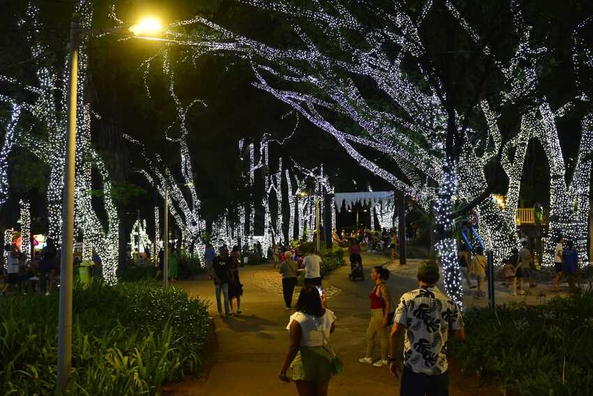 Natal Solidário