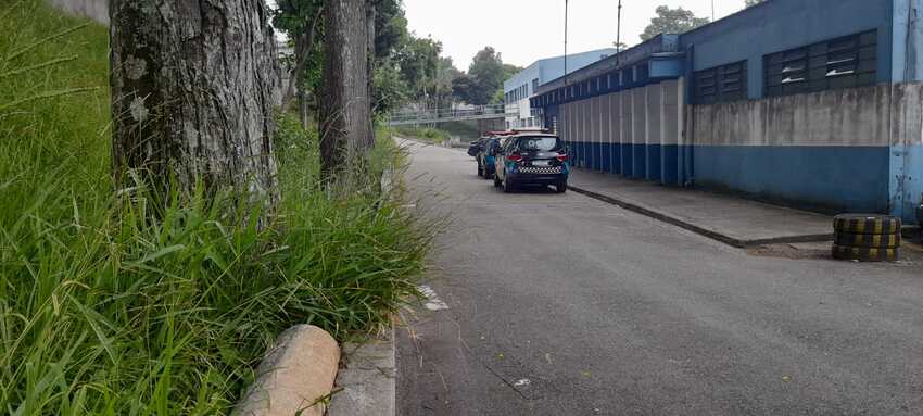 Mato não é podado há alguns dias na GCM