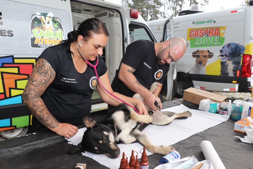 Ribeirão Pires inicia calendário anual de castrações canina e felina