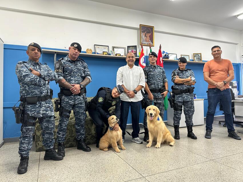 GCM de Ribeirão Pires recebe doação de novos cachorros para integrar equipe do CANIL