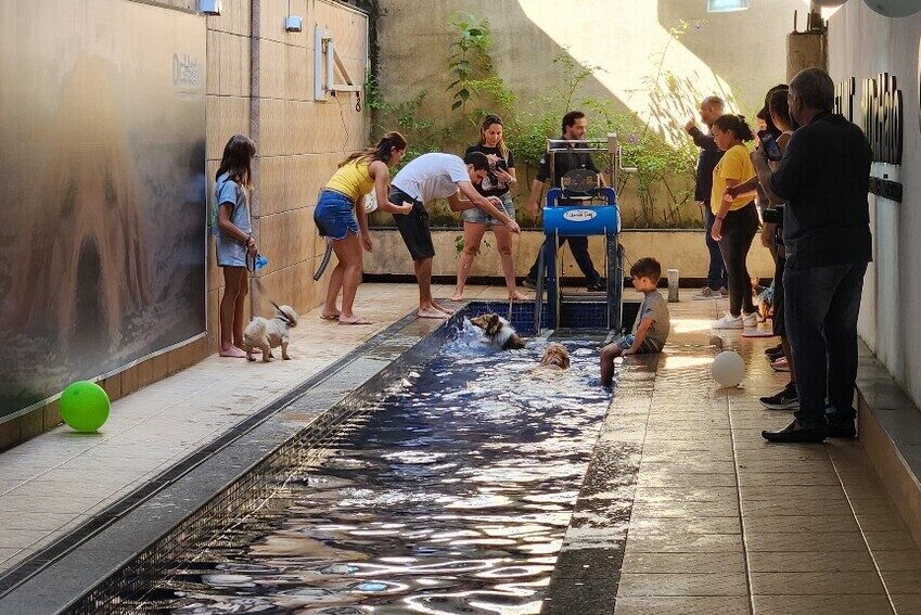 Campeonato de Natação de Verão promove manhã divertida no Dr. Hato