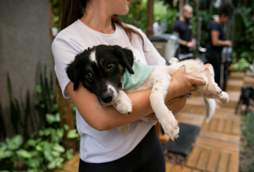 Petlove cria calçada da fama e estende o tapete vermelho para incentivar a adoção de pets