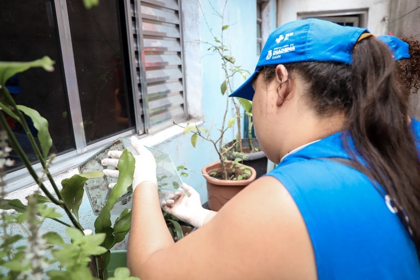 Agente de saúde combate mosquito da Dengue