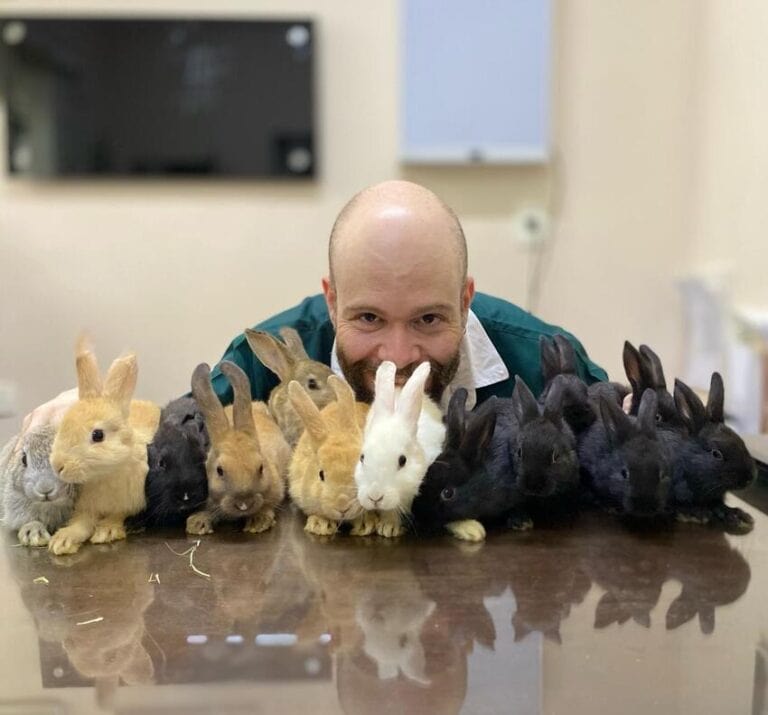 Coelhos