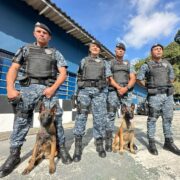 GCM de Ribeirão Pires recebe dois novos cães para reforçar efetivo do Canil