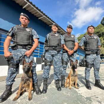 GCM de Ribeirão Pires recebe dois novos cães para reforçar efetivo do Canil