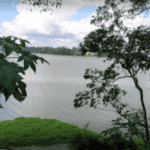 represa billings
