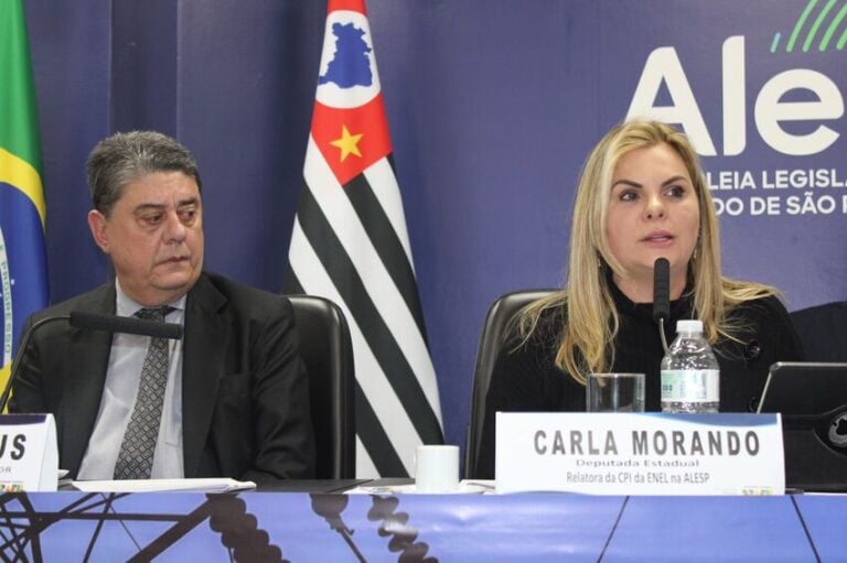 Carla Morando participa de Audiência Pública sobre a Qualidade do Serviço de Energia Elétrica na Região Metropolitana de São Paulo