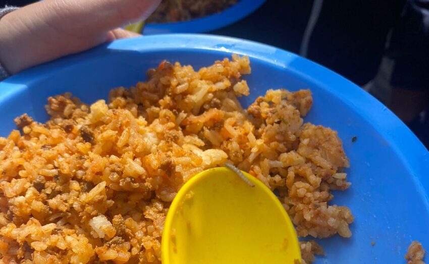 larva em merenda de escola estadual