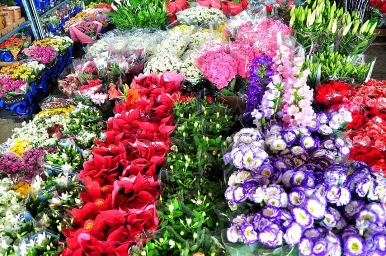 Mercado de Flores da Craisa é opção de compras para o Dia de Finados