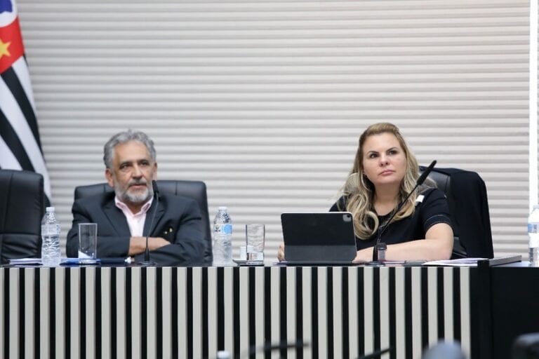 Em reunião presidida pela deputada Carla Morando, representantes do setor prestam esclarecimentos na CPI das Empresas de Telecomunicações