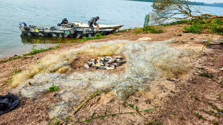 Guarda Ambiental de São Bernardo intensifica fiscalização na Billings e apreende redes de pesca ilegais