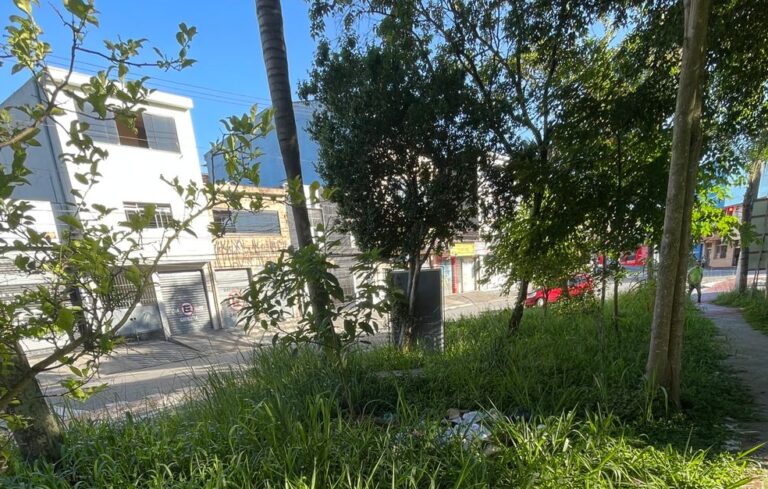 limpeza de praça