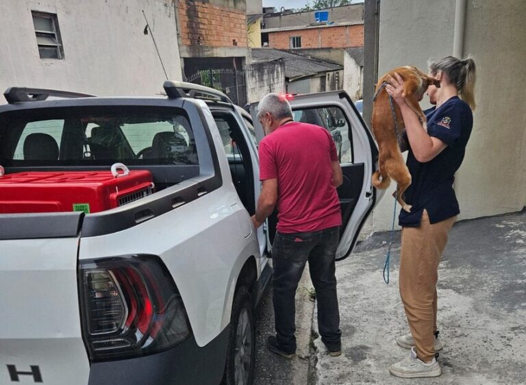 Resgate de animais em situação de maus-tratos no Jardim Anchieta mobiliza autoridades em Mauá