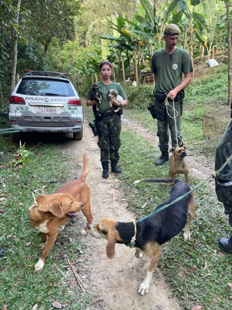 Polícia Ambiental resgata cães amarrados e sem comida em Rio Grande da Serra