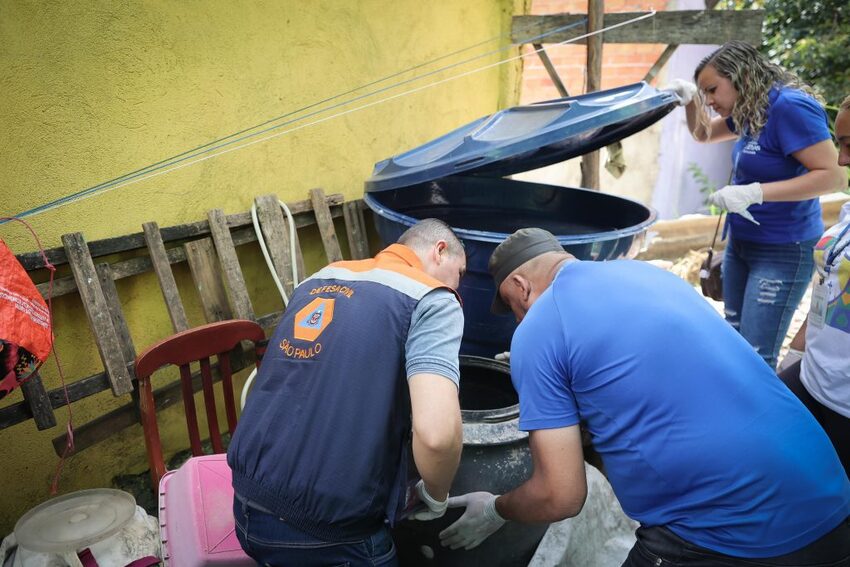 combate a dengue 