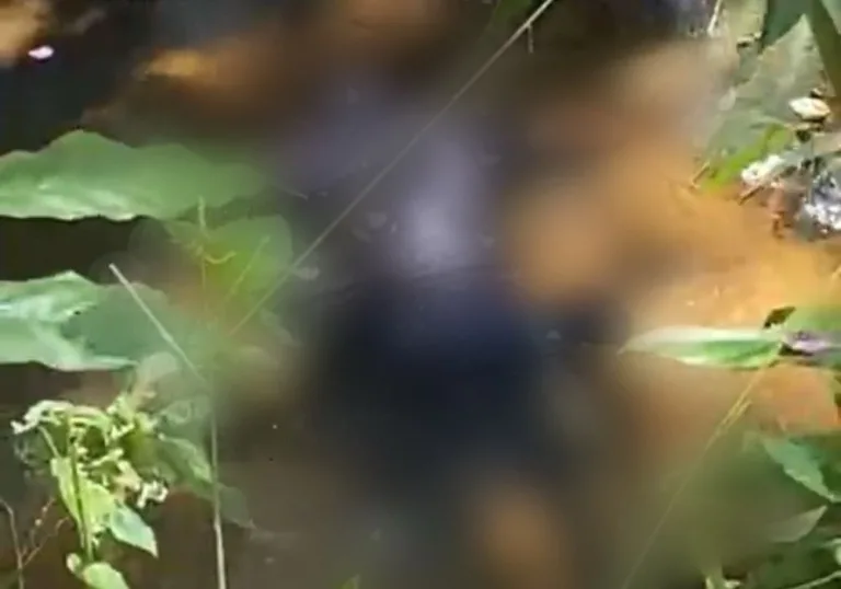 Corpo é encontrado em córrego em Ribeirão Pires
