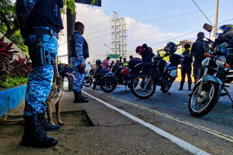 Operação Carnaval em São Caetano registra números expressivos e reforça segurança durante a folia