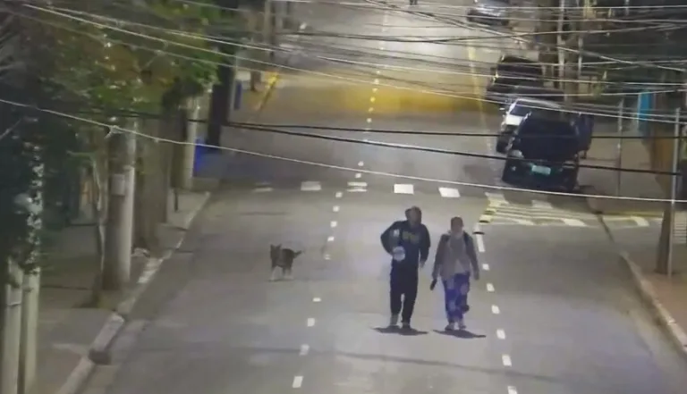 GCM prende dois por furto em estabelecimento comercial no Centro de São Caetano