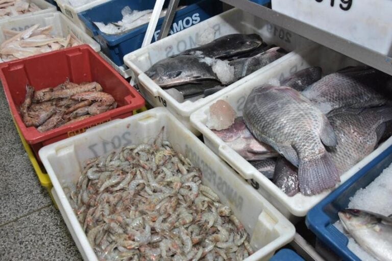 Craisa oferece diversidade de pescados para consumo na Semana Santa