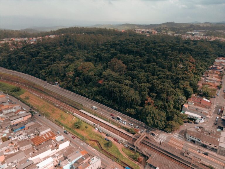 Parque de Mauá celebra a memória de Oswaldo Dias