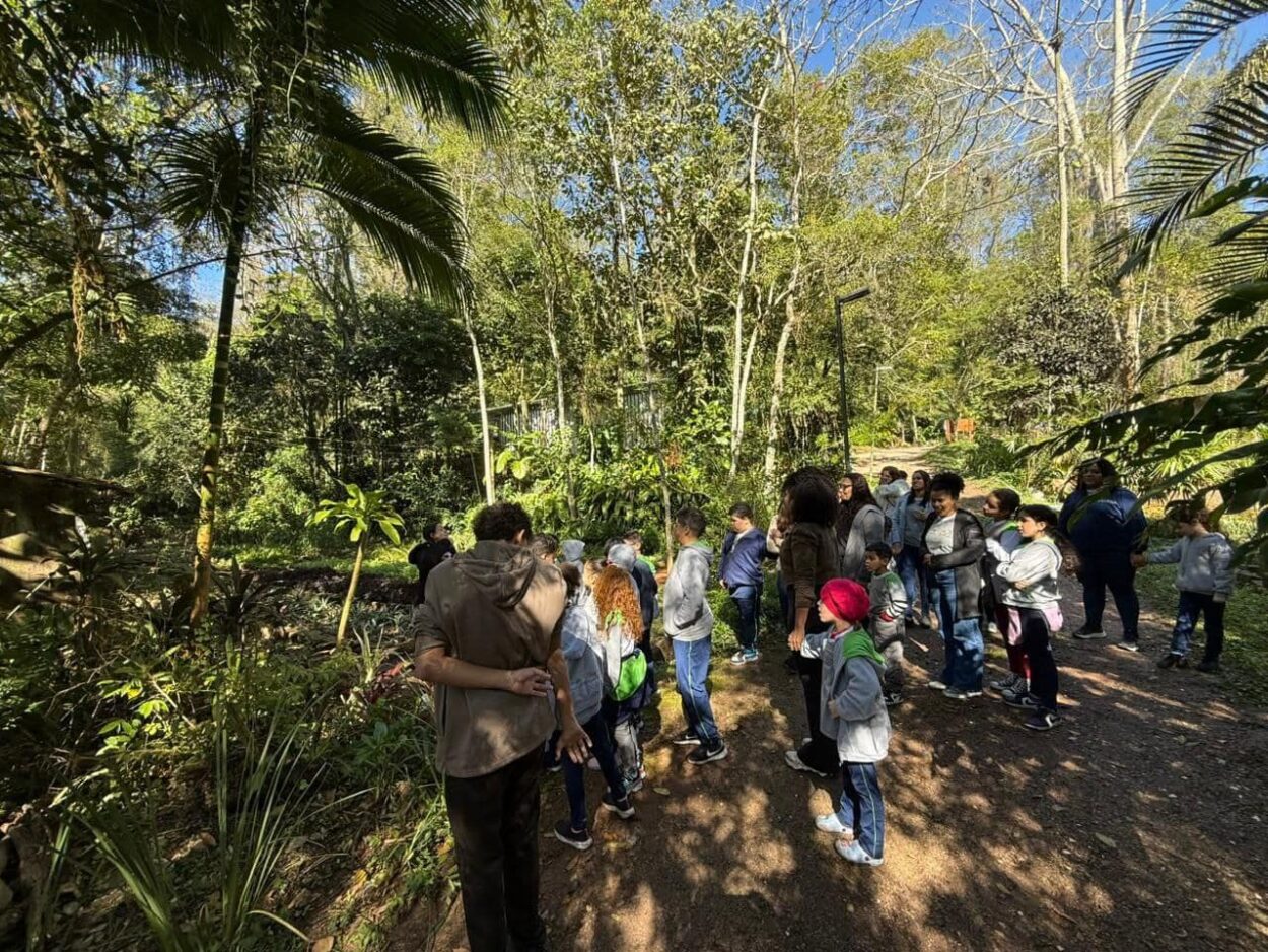 Alunos participam de trilha monitorada e plantio de árvores no Parque da Gruta de Santa Luzia