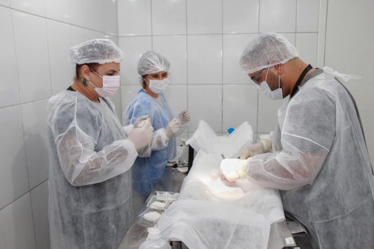 Ribeirão Pires alcança 10 mil castrações gratuitas de animais desde 2021