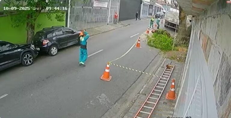 Funcionário morre esmagado por tronco durante poda de árvore em São Bernardo