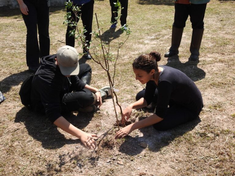 Plantio no Parque do Pedroso marca início do Projeto Águas da Mata em Santo André