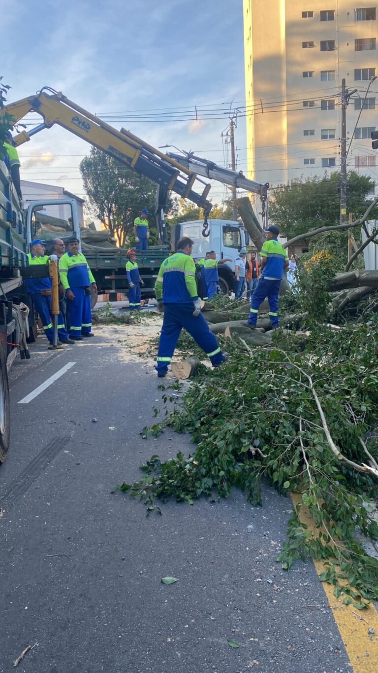 Força-tarefa da Prefeitura de São Caetano garante retomada dos serviços na cidade, mas Enel ainda não restabeleceu a energia de todas as residências