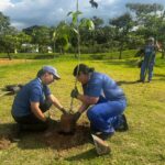 Parque Central passa por ampla revitalização e recebe plantio de 300 árvores
