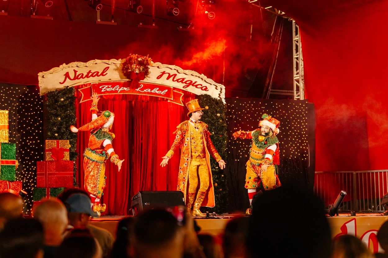 Natal Iluminado de São Bernardo arrecadou 3,5 toneladas de alimentos