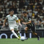 Palmeiras