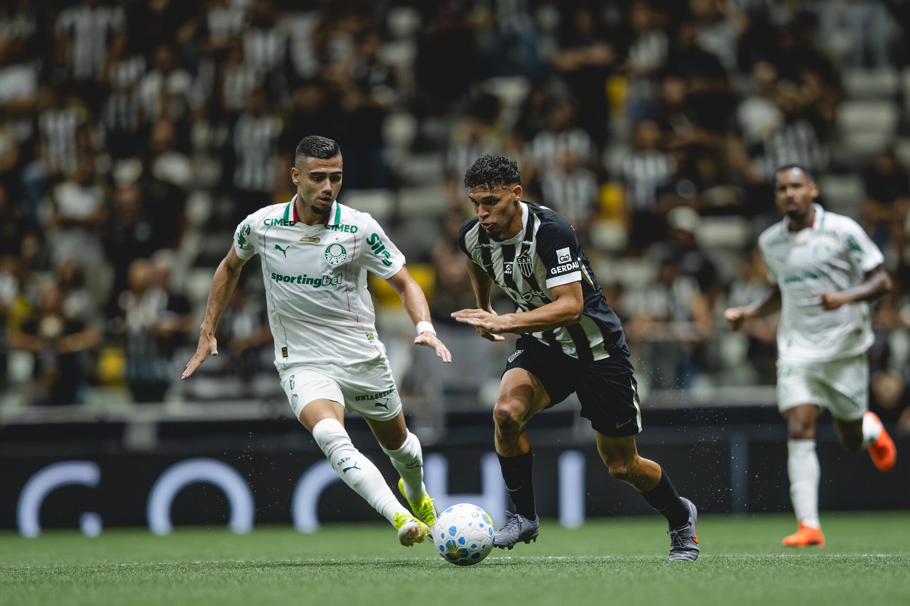 Palmeiras
