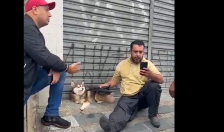 Motoboy Vanderson, conhecido como “Andinho”, ligou para a tutora e informou que havia visto o cachorro na rua