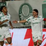Palmeiras - Luighi