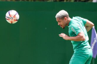 Palmeiras