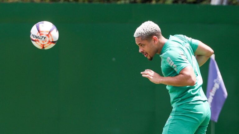 Palmeiras