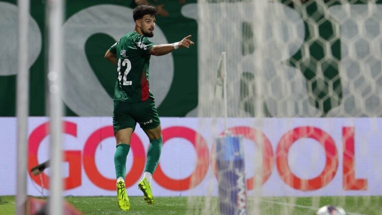 Palmeiras