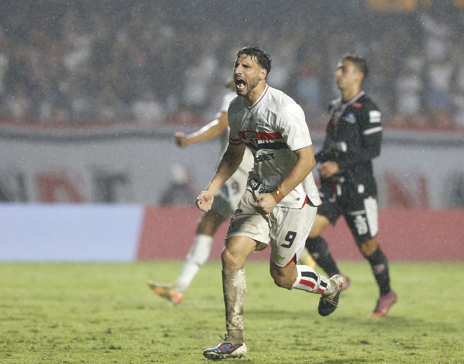 Calleri Sao Paulo